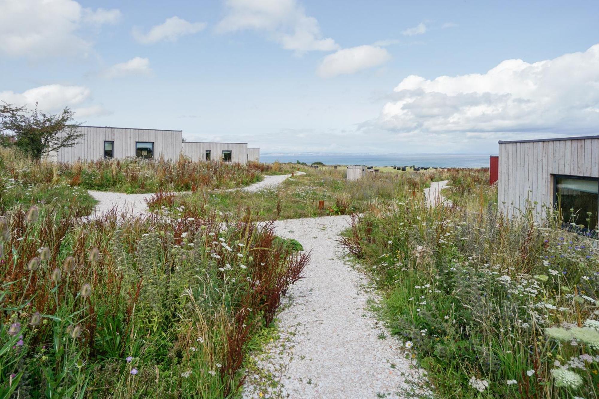 Rustic Cabins, Sea Views From Rewilded Farm St Andrews Exterior photo